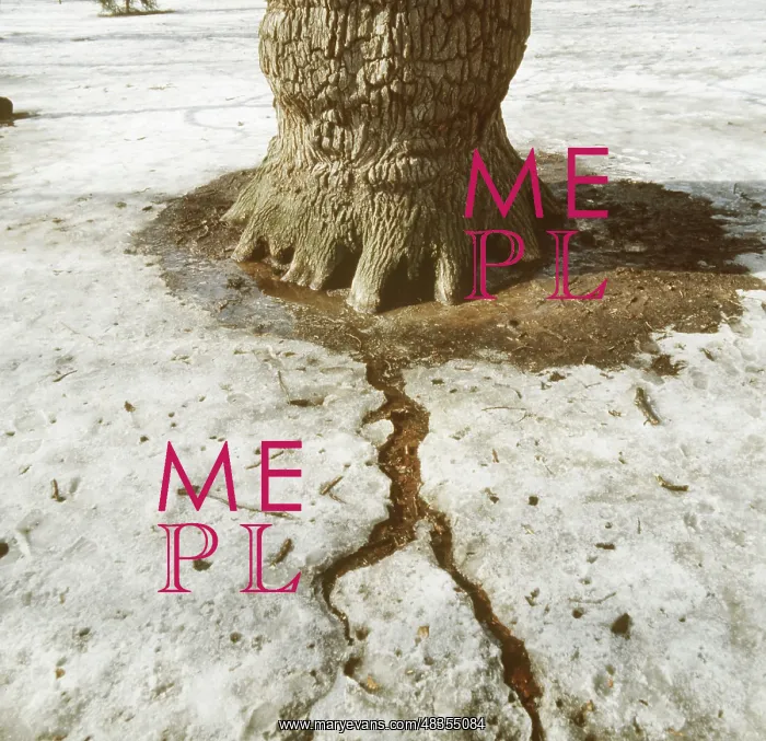 : Spring Thaw photo art work, 1993 : Spring Thaw photo art work, 1993