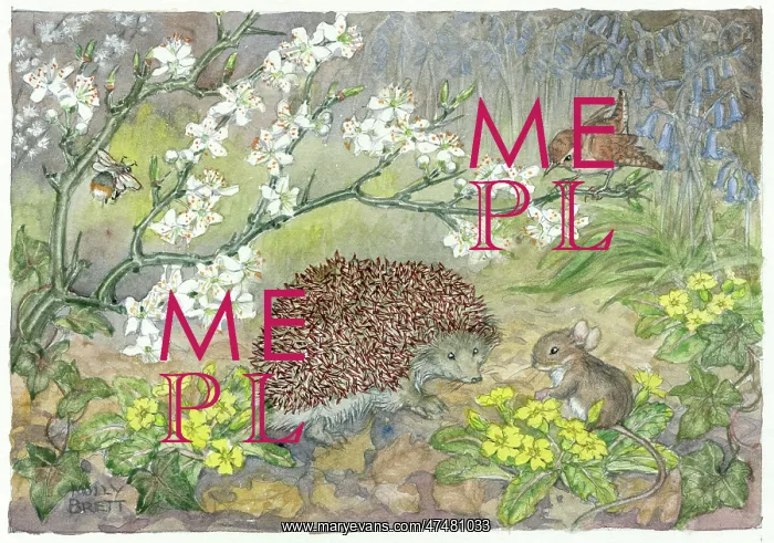 : Spring Time Greeting - hedgehog, mouse, primroses etc : Spring Time Greeting - hedgehog, mouse, primroses etc
