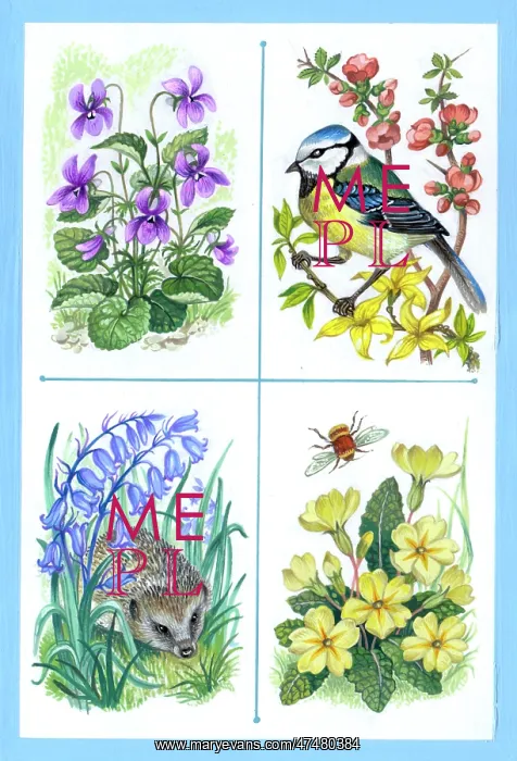  : Spring – Violets, Blue Tit, forsythia etc