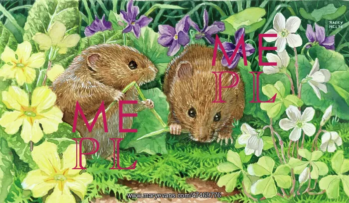 : Spring! - two voles amongst primroses & violets : Spring! - two voles amongst primroses & violets