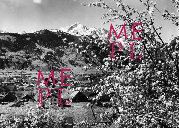 : Spring in the Wetterstein, 1933 : Spring in the Wetterstein, 1933