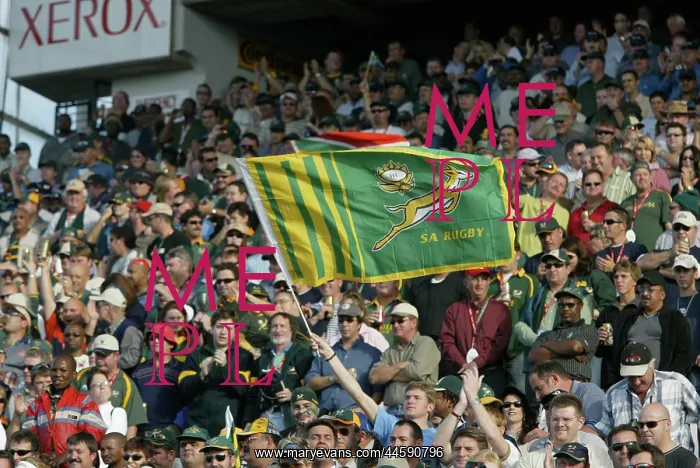 : Springboks playing in a packed rugby stadium : Springboks playing in a packed rugby stadium