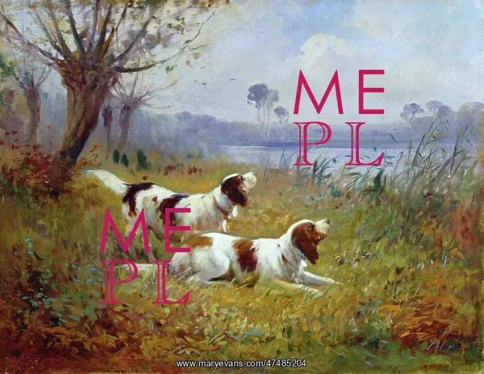 : Two Springer Spaniels – beside river or lake : Two Springer Spaniels – beside river or lake