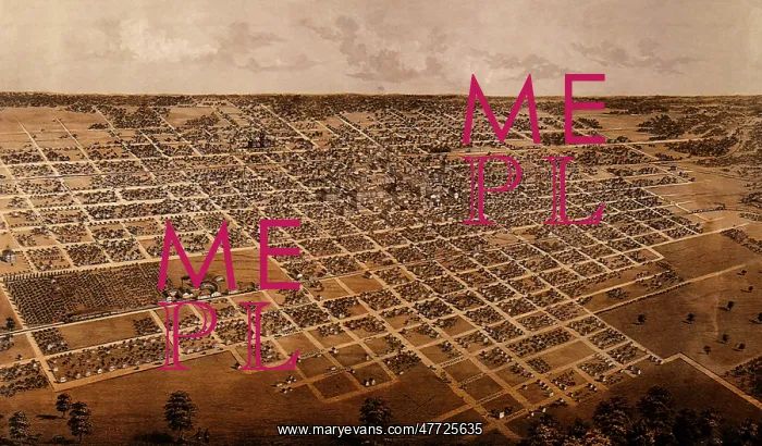 : Springfield, Illinois 1867 : Springfield, Illinois 1867