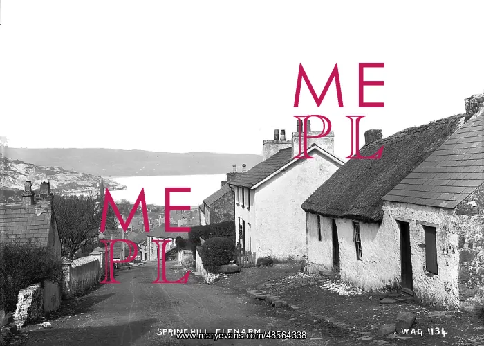 : Springhill, Glenarm : Springhill, Glenarm