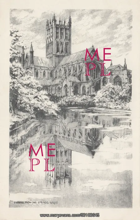 : Wells. The Springs at eventide. Line engraving : Wells. The Springs at eventide. Line engraving