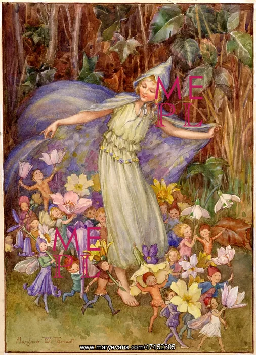  : Springs Flowery Cloak