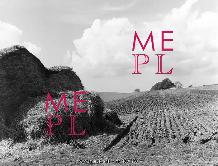 : SPRINGTIME FURROWS : SPRINGTIME FURROWS