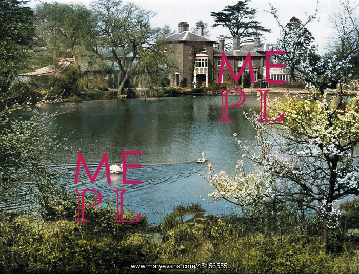 : SPRINGTIME POND : SPRINGTIME POND