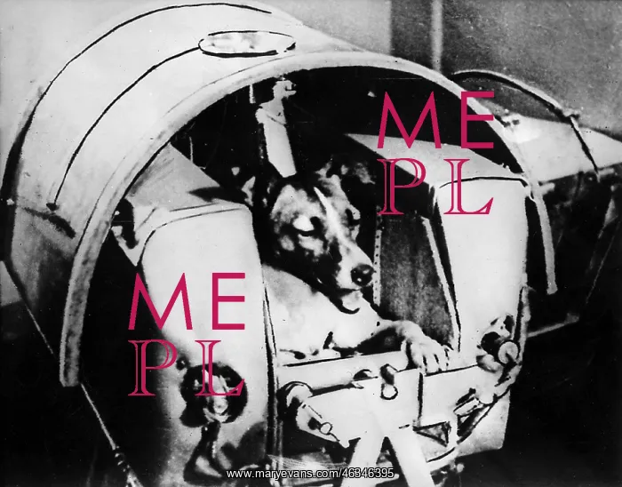 : SPUTNIK II : SPUTNIK II