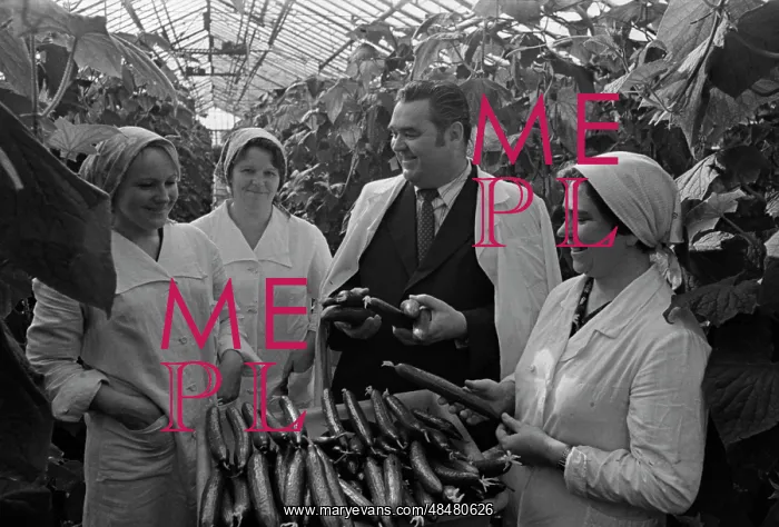 : Sputnik Vegetable State Farm in Barnaul : Sputnik Vegetable State Farm in Barnaul