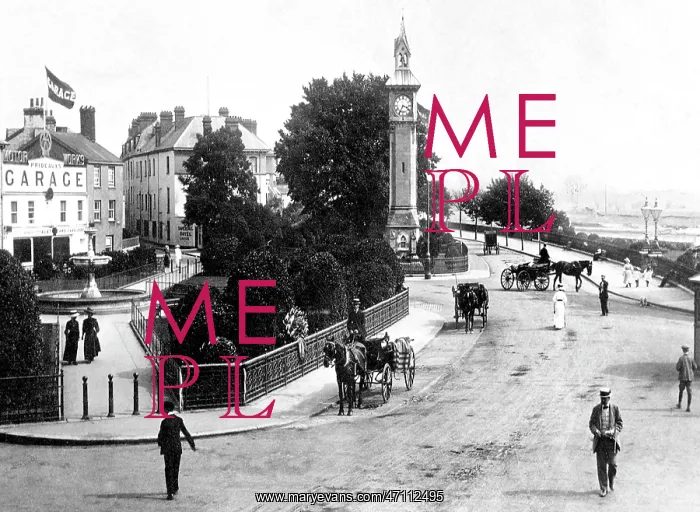  : The Square Barnstaple early 1900's