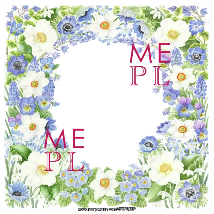 : Square blue and white floral border design : Square blue and white floral border design