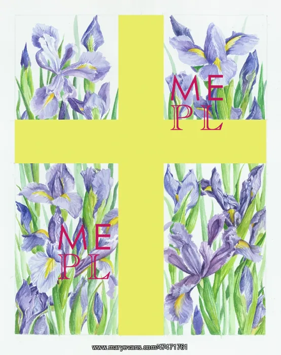  : Square border with cross