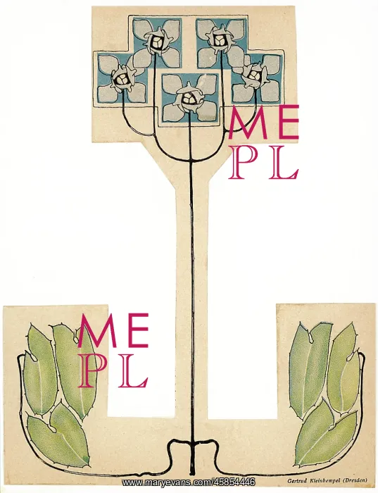 : SQUARE-FLOWERED PLANT : SQUARE-FLOWERED PLANT