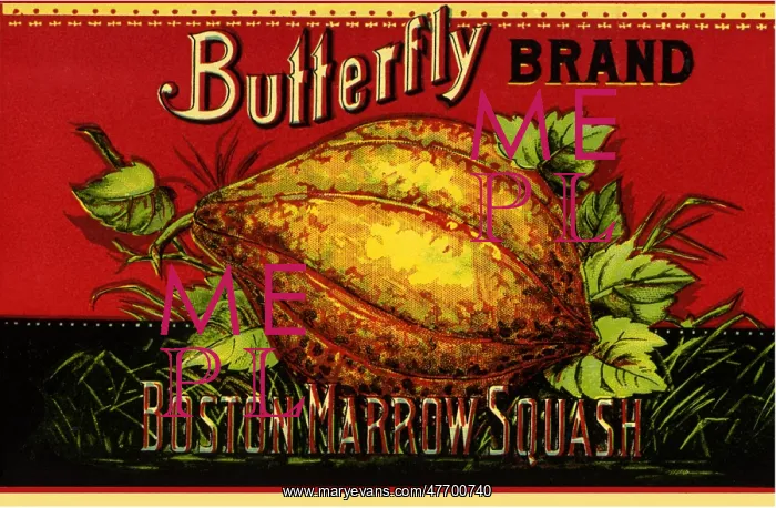  : Squash Label