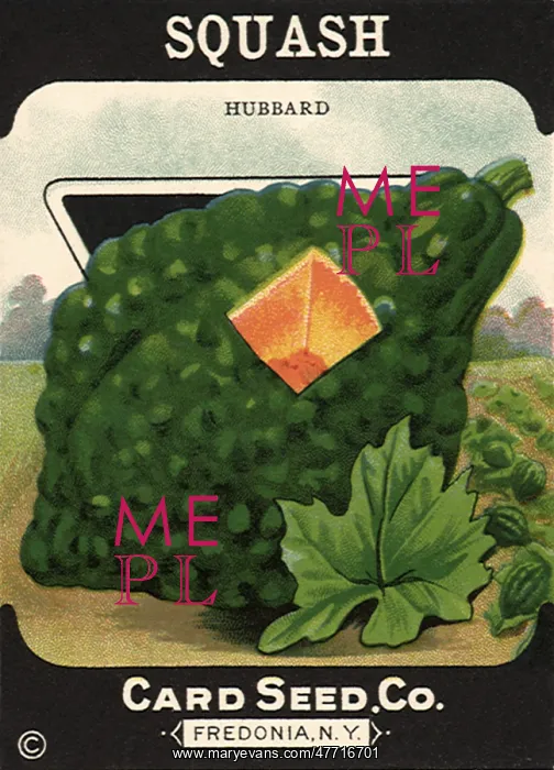  : Squash Vegetable Label