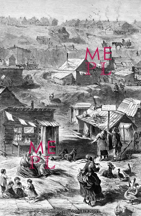 : Squatters, Central Park, NYC, 1869 : Squatters, Central Park, NYC, 1869
