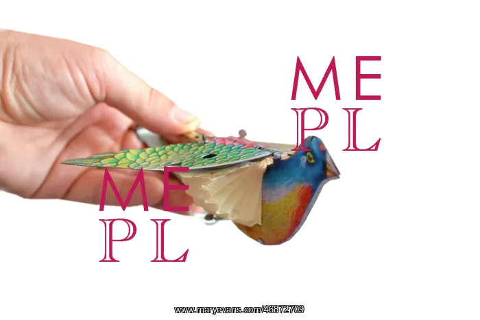 : Squeaking bird toy with outstretched wings : Squeaking bird toy with outstretched wings