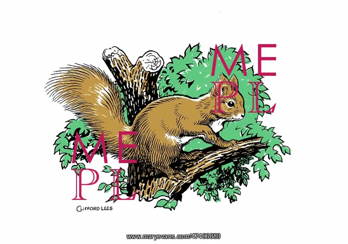  : Squirrel on a tree branch ? three-colour line design in black, green and brown