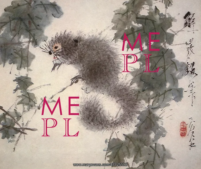  : Squirrel