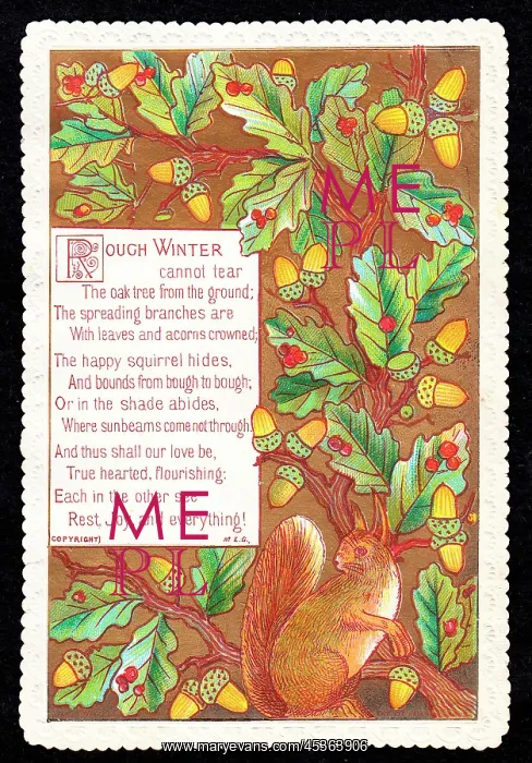 : Squirrel and acorns on a greetings card : Squirrel and acorns on a greetings card