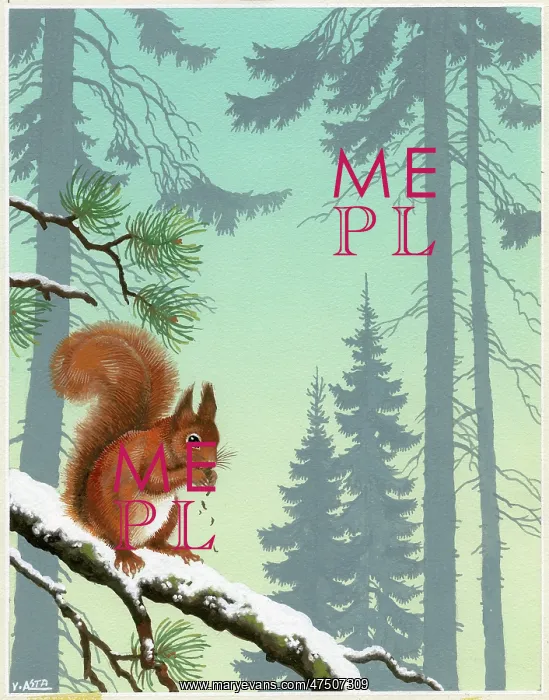  : Squirrel eating nut on a branch