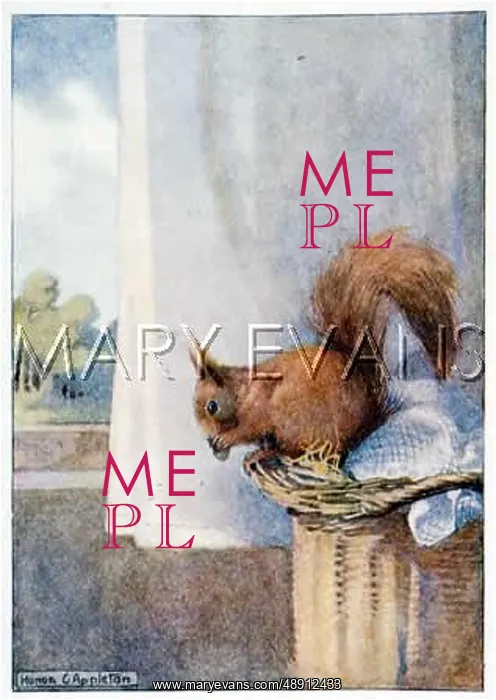 : SQUIRREL EATS NUTS C1917 : SQUIRREL EATS NUTS C1917