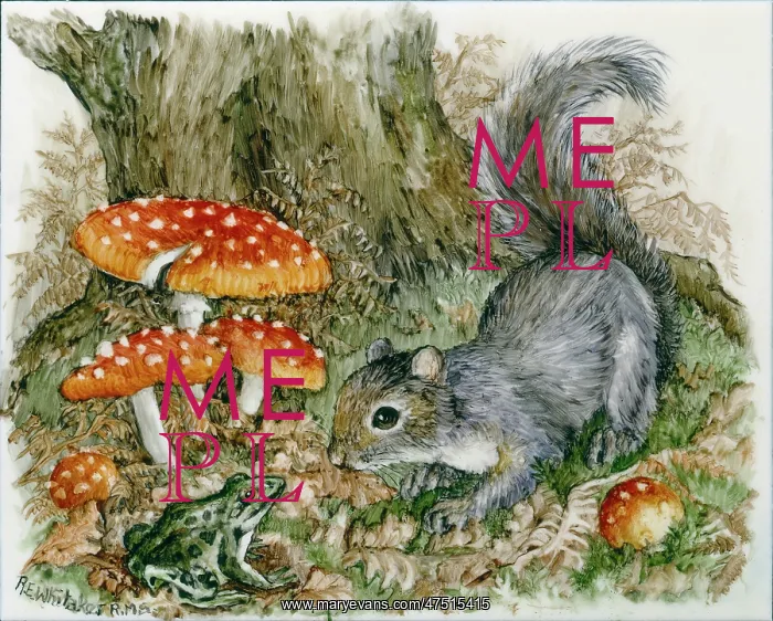 : Squirrel and frog by toadstools : Squirrel and frog by toadstools