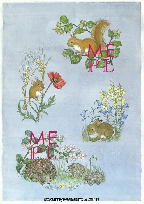 : Squirrel on hazel branch, mouse on poppyetc : Squirrel on hazel branch, mouse on poppyetc
