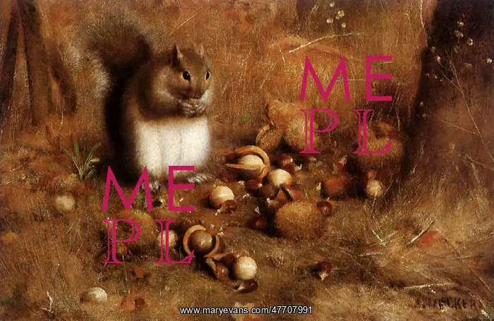 : Squirrel in Landscape with Nuts