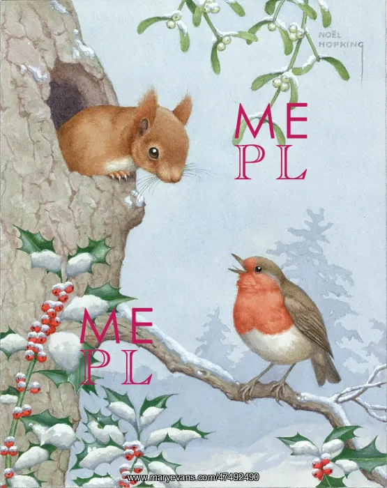 : Squirrel looking at robin, with holly & mistletoe : Squirrel looking at robin, with holly & mistletoe