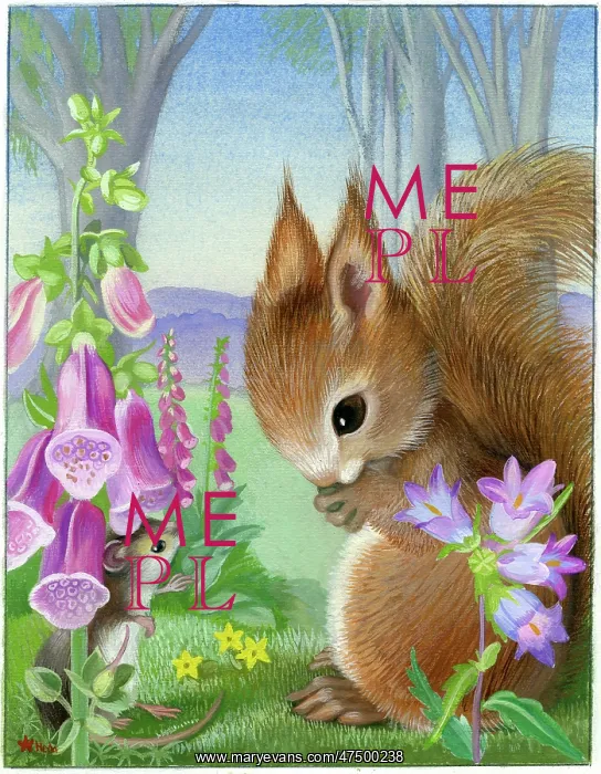 : Squirrel with mouse and foxgloves : Squirrel with mouse and foxgloves