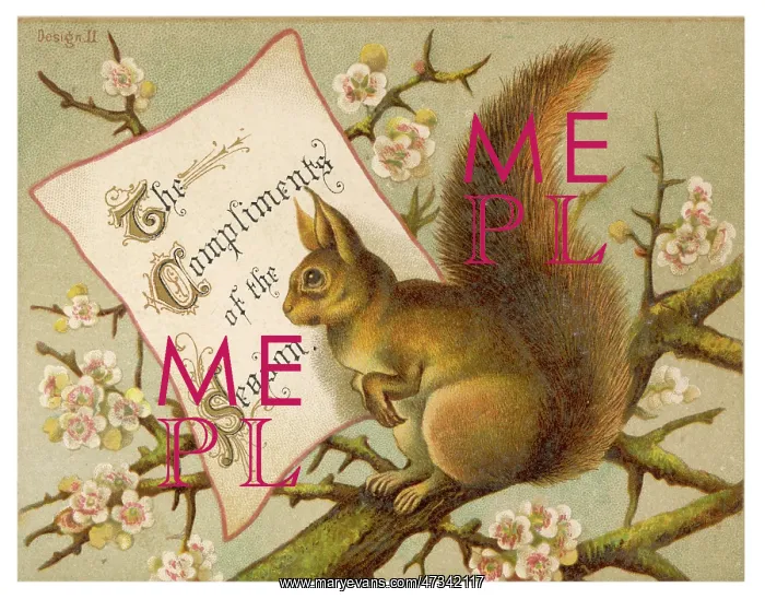 : Squirrel New Year Card : Squirrel New Year Card