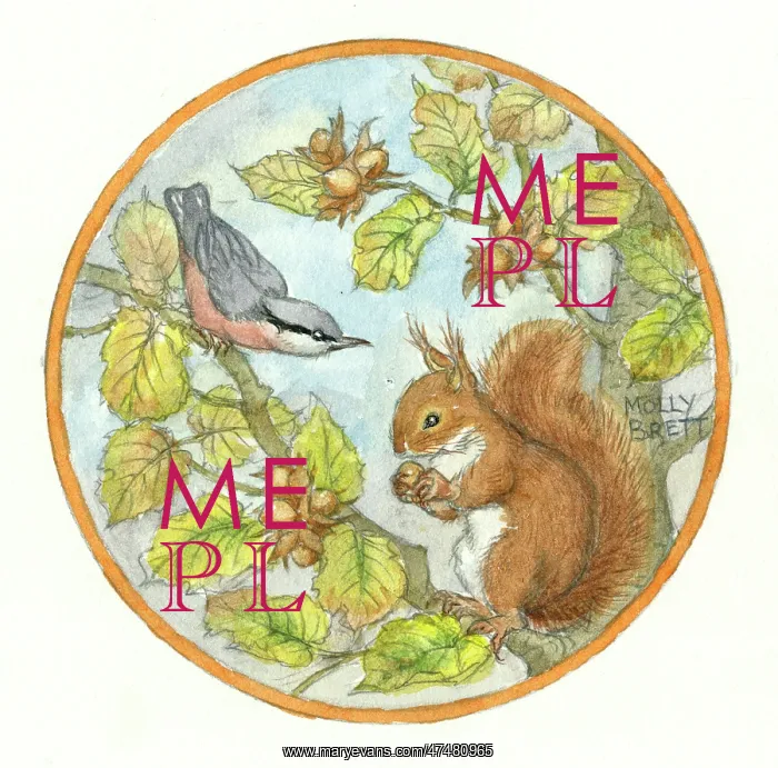 : Squirrel and nuthatch on hazel tree : Squirrel and nuthatch on hazel tree