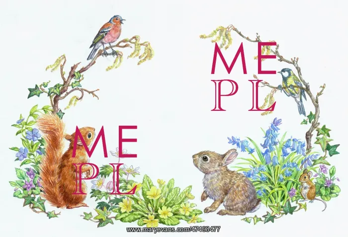 : Squirrel, Rabbit, Mouse, Chaffinch and Tit : Squirrel, Rabbit, Mouse, Chaffinch and Tit