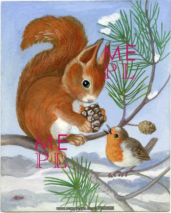 : Squirrel with Robin : Squirrel with Robin
