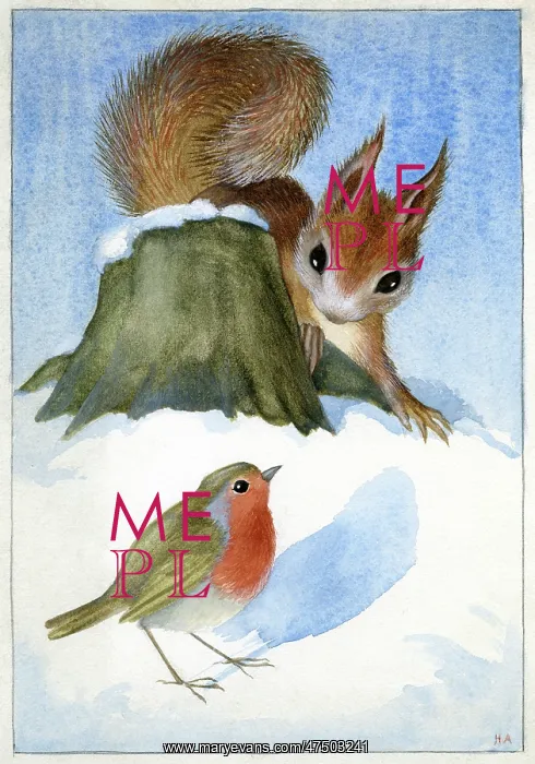 : Squirrel and robin in the snow : Squirrel and robin in the snow