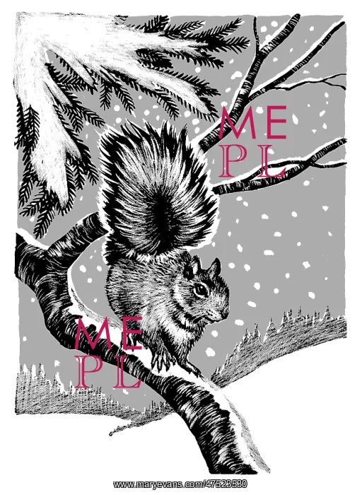 : Squirrel on a snowy branch : Squirrel on a snowy branch