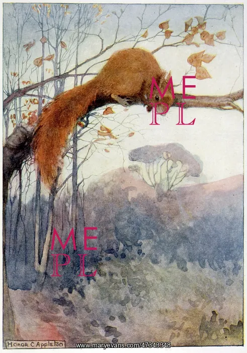 : SQUIRREL IN TREE C1917 : SQUIRREL IN TREE C1917