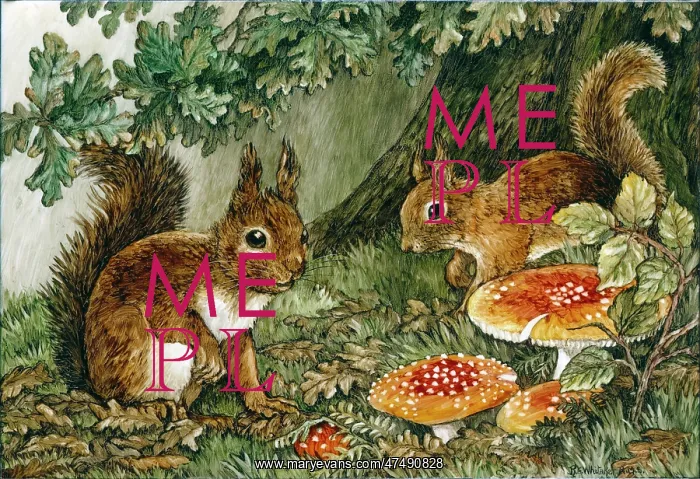 : Two squirrels with Fly Agaric mushrooms : Two squirrels with Fly Agaric mushrooms