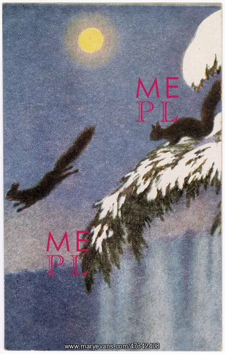  : SQUIRRELS AT NIGHT 1905