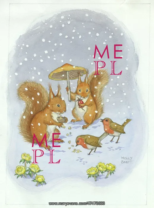 : Squirrels and Robins with aconites in the snow : Squirrels and Robins with aconites in the snow