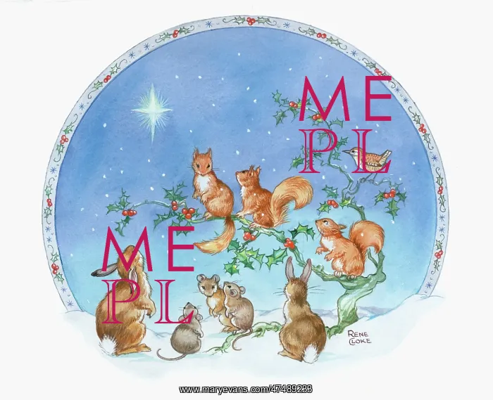  : Squirrels, thrush, rabbits and mice