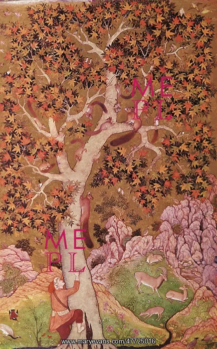  : Squirrels in Tree