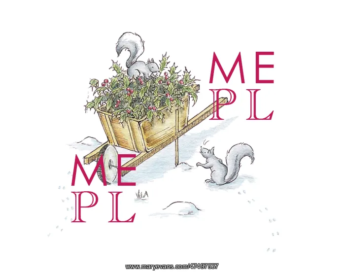  : Squirrels in wheelbarrow of holly