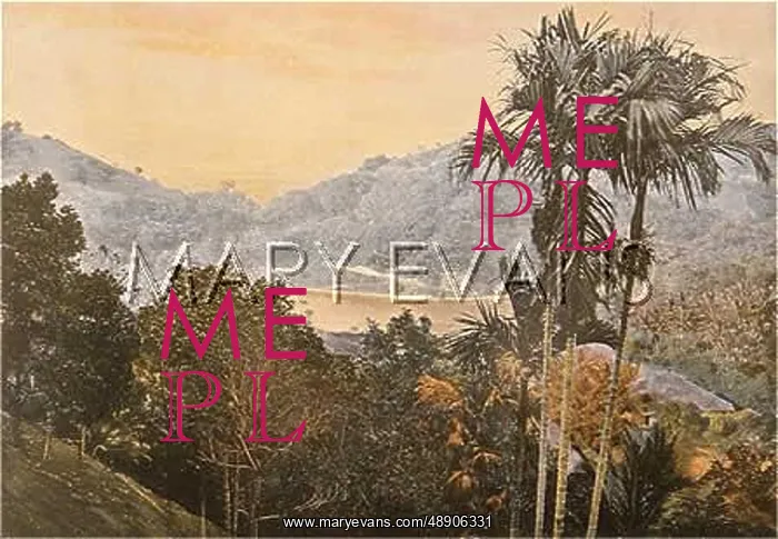  : SRI LANKA / KANDY 1890S