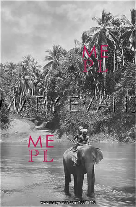  : SRI LANKA / KELANI RIVER