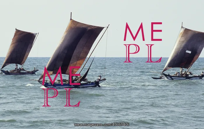 : Sri Lankan outrigger boats - 1 : Sri Lankan outrigger boats - 1
