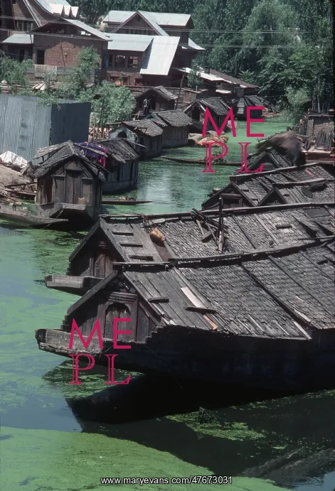  : Srinagar, Kashmir - floating houseboats